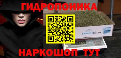спиды Тара