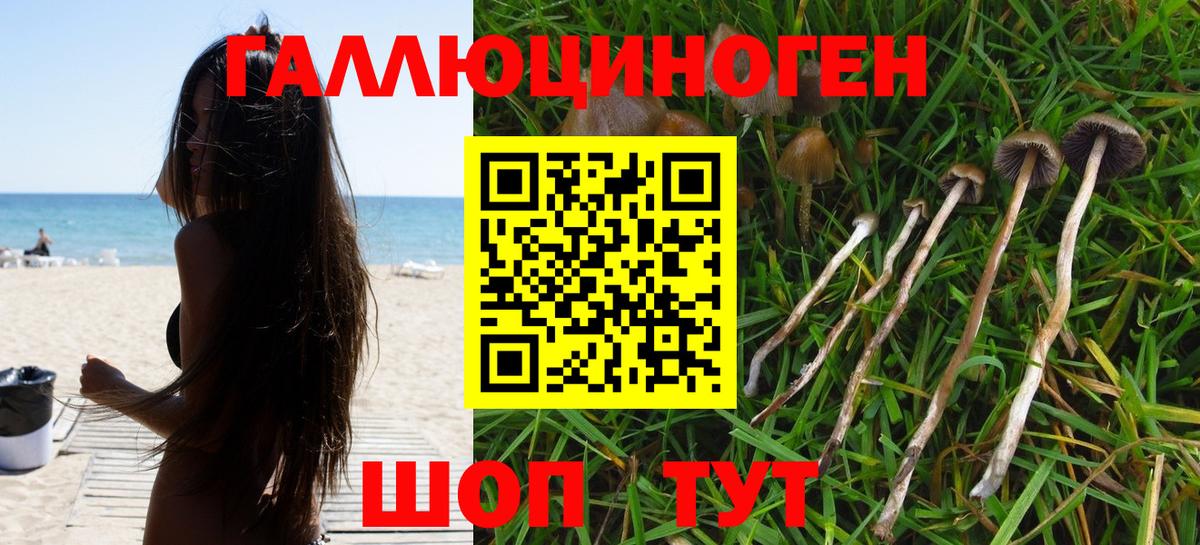 Псилоцибиновые грибы ЛСД Алушта