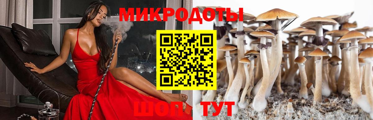 Галлюциногенные грибы MAGIC MUSHROOMS  Вход с VPN  Галлюциногенные грибы мицелий  Алушта 